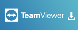 Service - Team Viewer